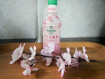 伊藤園 さくら抹茶