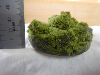 あわしま堂 抹茶蒸しまん