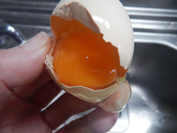 安土の卵 卵かけご飯