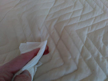 血液　汚れ　落とす