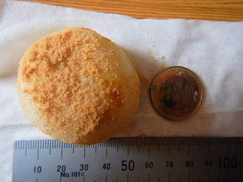 あわしま堂 黒蜜きなこ団子