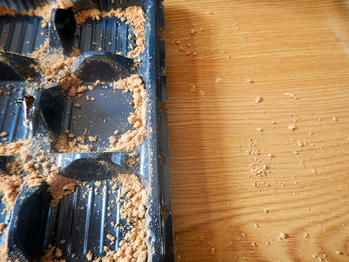 あわしま堂 黒蜜きなこ団子