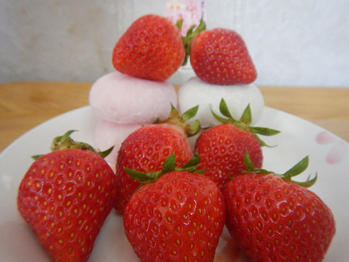 あわしま堂　大福　いちご