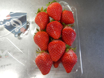 あわしま堂　大福　いちご