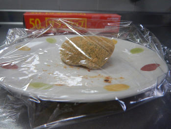 あわしま堂 よもぎ大福