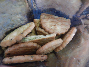 野菜ビスケット