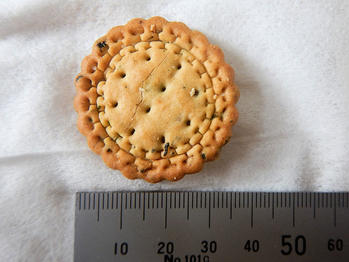 野菜ビスケット