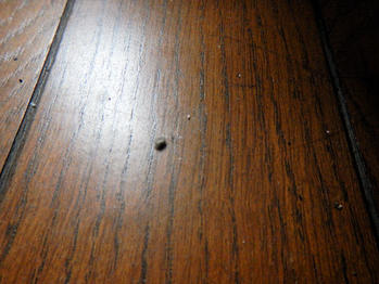 エアコン　掃除